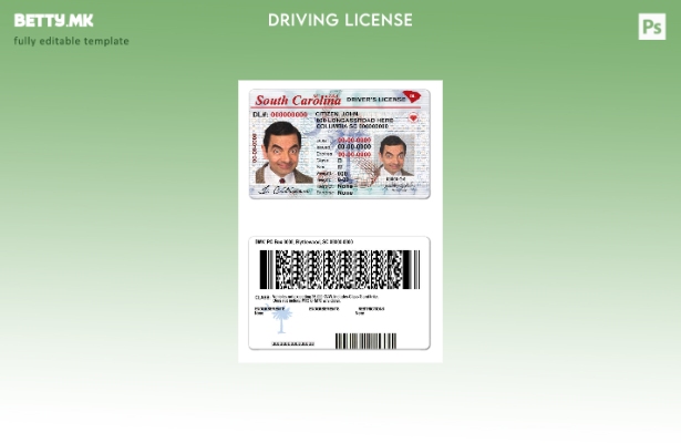 Модерен стил шаблон за државна возачка дозвола на САД Јужна Каролина